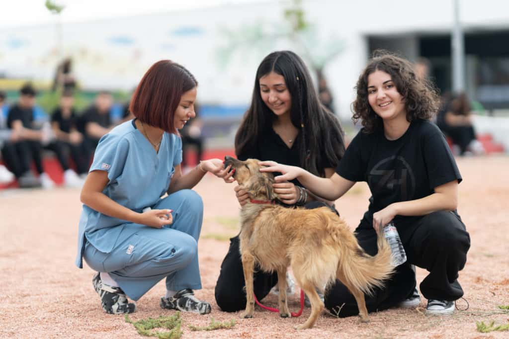 4 Ekim Dünya Hayvanları Koruma Günü: “Sahipsiz hayvanlara kötü muamele son bulsun”