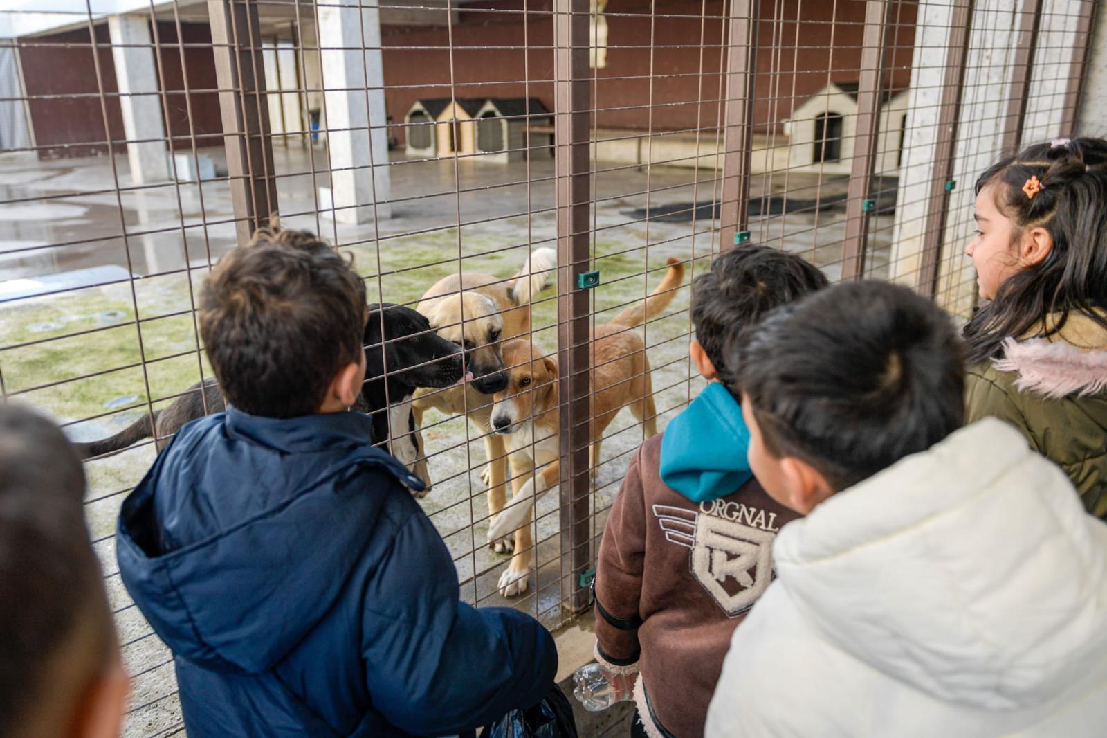 Doğa ve patili dostlar şifa dağıtıyor