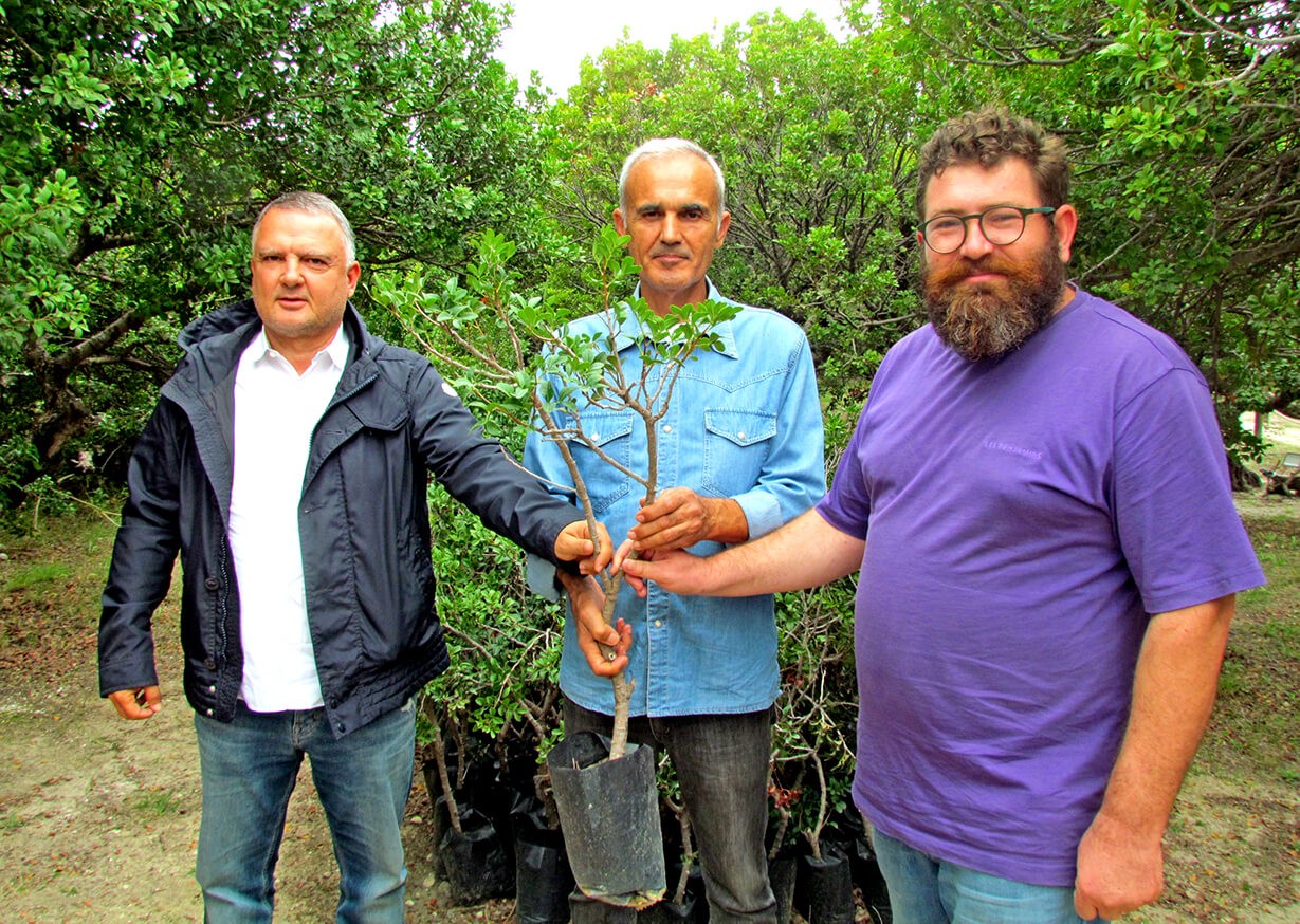 Çeşme sakız üreticilerinden komşuya iş birliği daveti