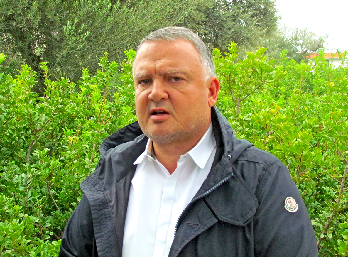 Çeşme’de sakız üretiminin önündeki en büyük engel: Arazi yokluğu