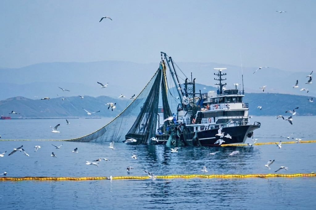 Denizlerde Av Yasağı 15 Nisan'da Başlıyor