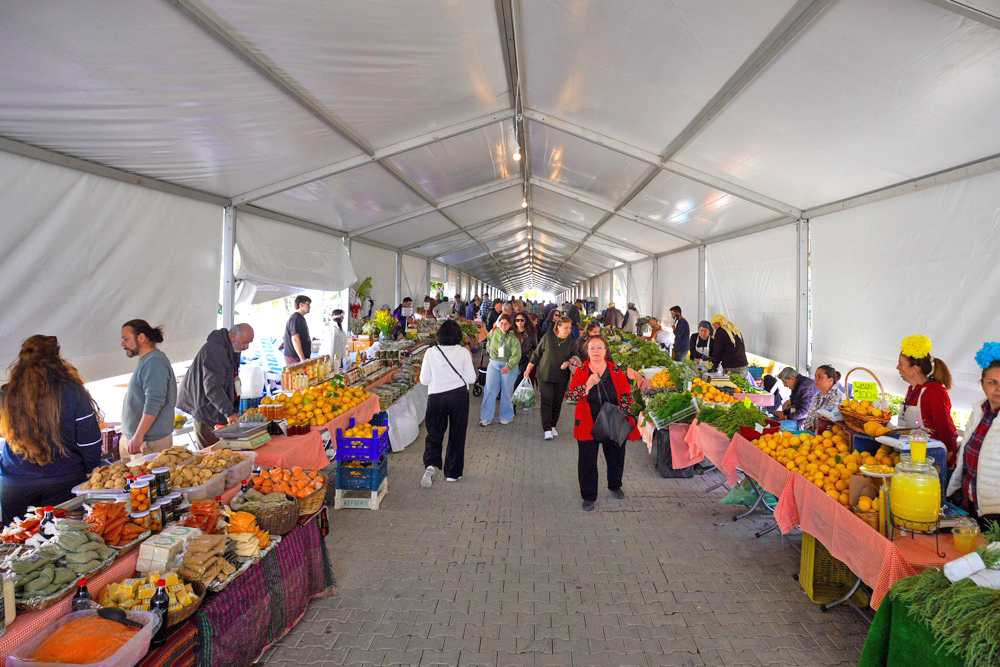 15. Uluslararası Alaçatı Ot Festivali’nde stantlar açıldı, yarışmalar ve etkinlikler hafta sonu boyunca sürüyor   