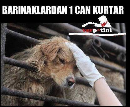 BOŞUNA BEKLEME, GELMEZLER!