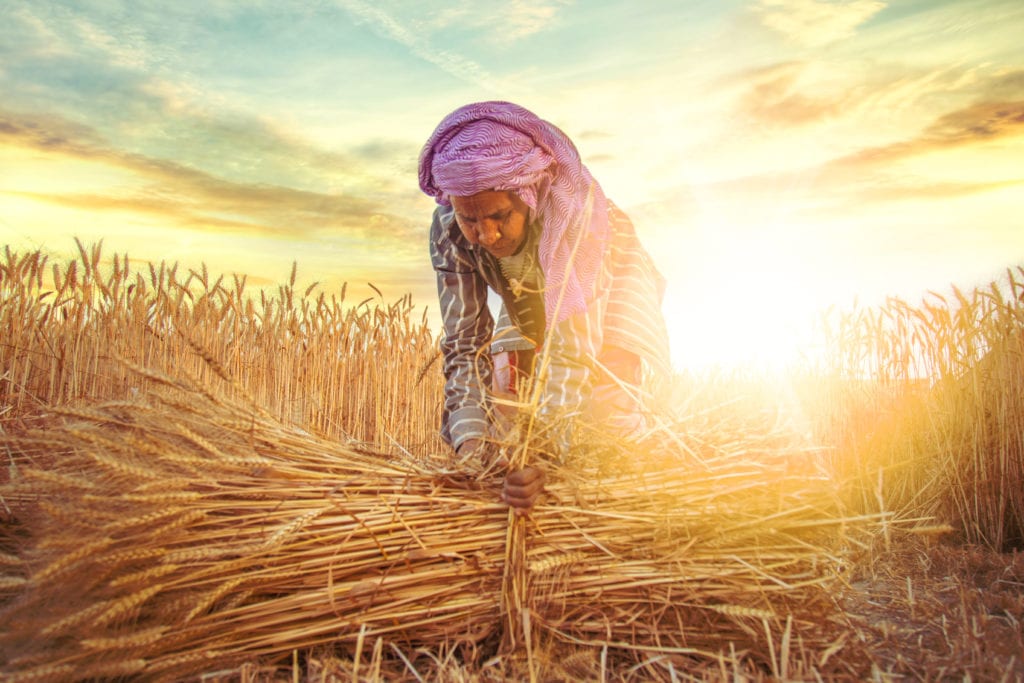 BEĞENMESEK DE 'BEĞENDİK!' DİYORUZ