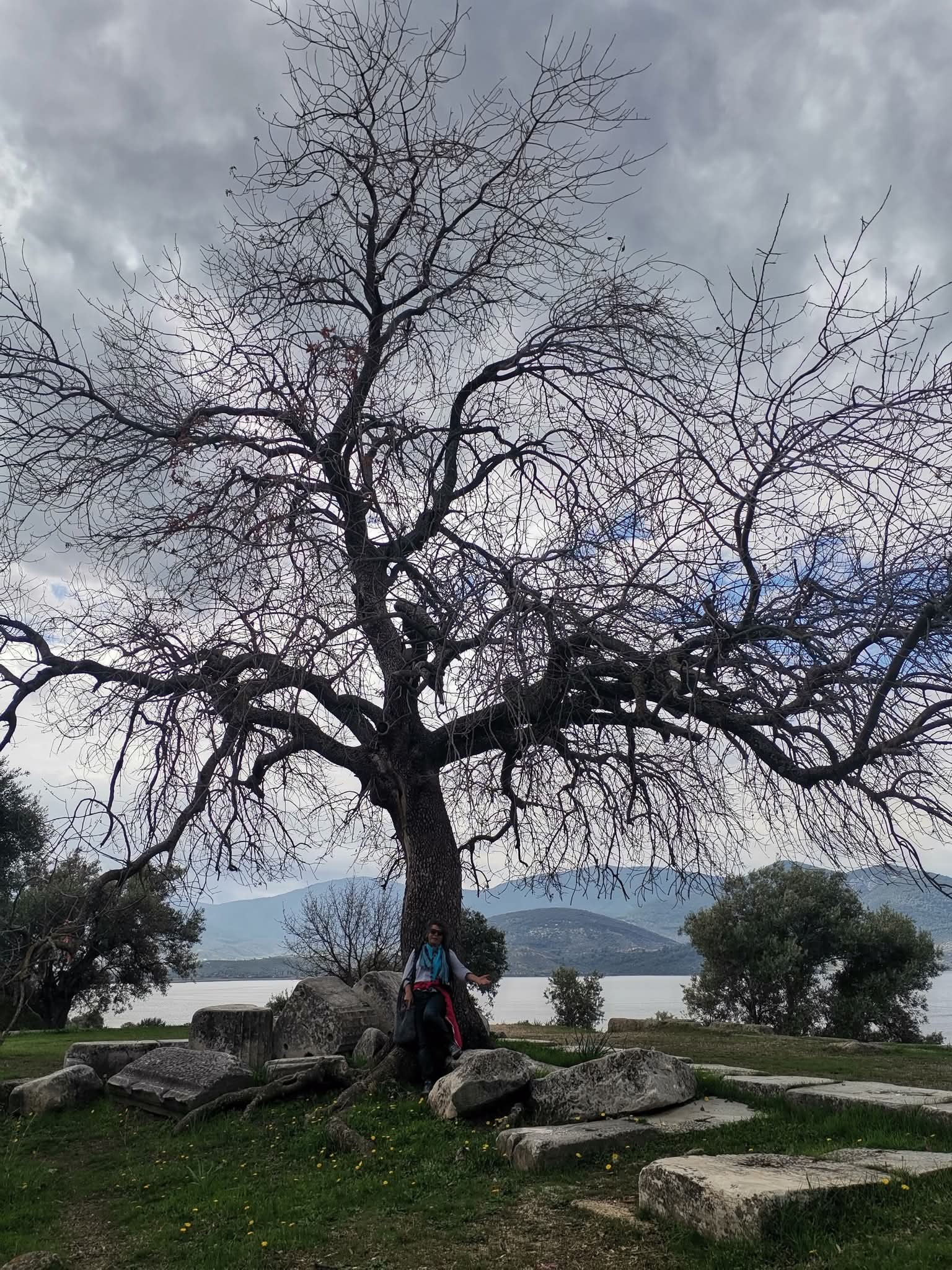 UMUT ve İSTEK VARSA MUTLAKA OLUR