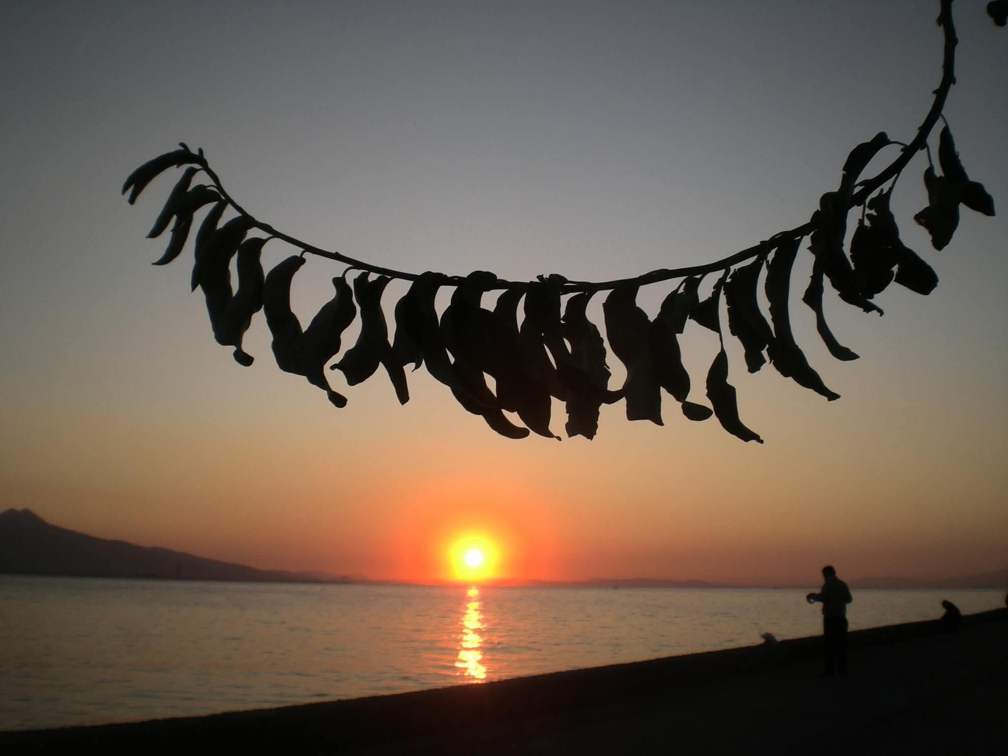 BİR KİTAP GÖRÜŞÜMÜ DEĞİŞTİRDİ