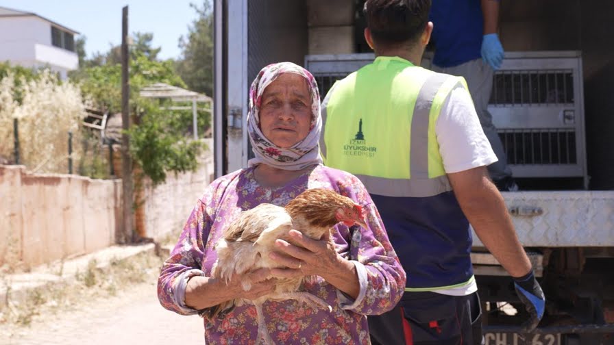 İzmir’deki yangından kurtarılan tavuklarına kavuştu  