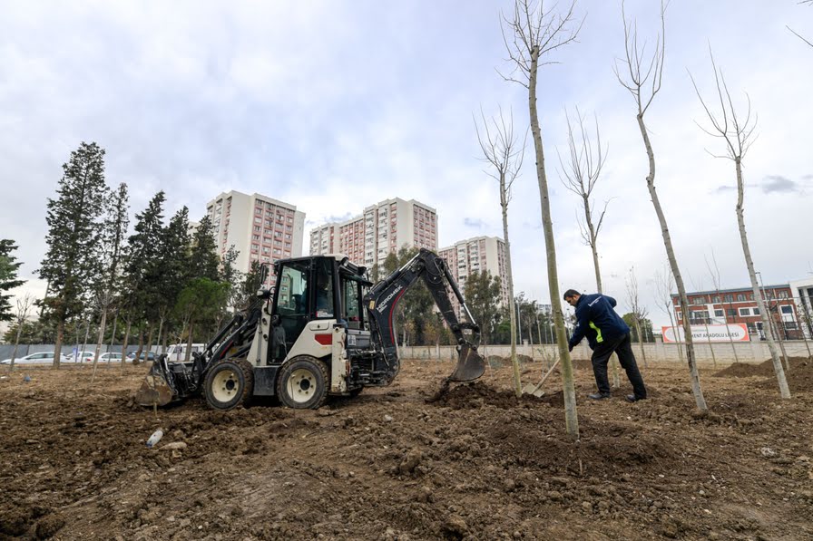 Betonun arasından orman çıktı