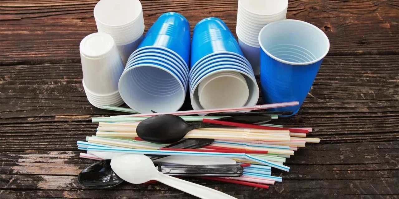 Tek kullanımlık plastikler yasaklanıyor