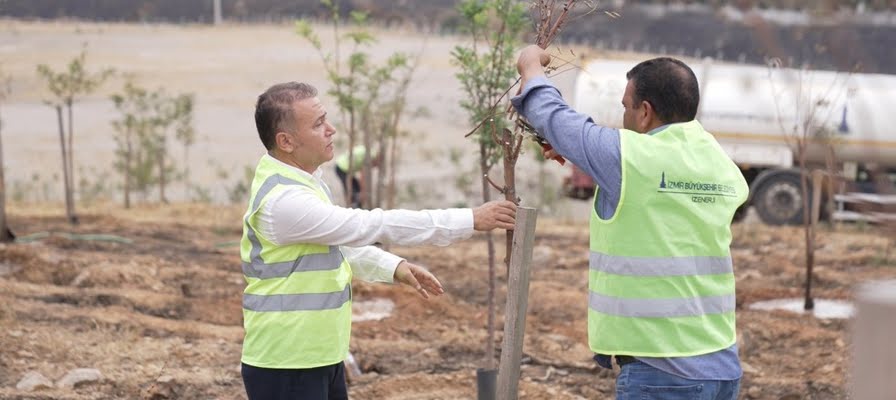 9 Eylül’de İzmir’in dağlarında çiçekler açtı