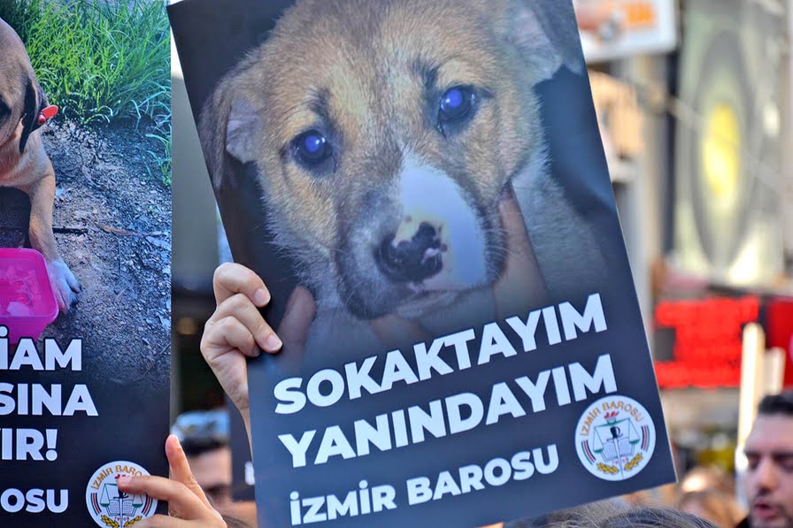 İzmir Barosu’ndan Hayvan Hakları Yönetmeliği İçin Danıştay’a İptal Başvurusu