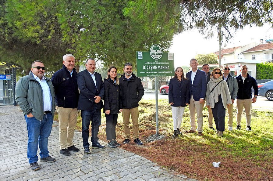 "Sakız Ağacım Çeşme" projesiyle sakız ağacı sayısı hızla artıyor