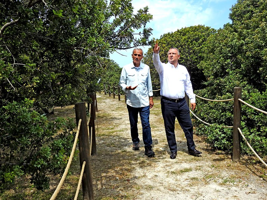 Çeşme’nin coğrafi işaretli ’damla sakızı’, yüksek fiyatı ve ekonomik potansiyeliyle dikkat çekiyor
