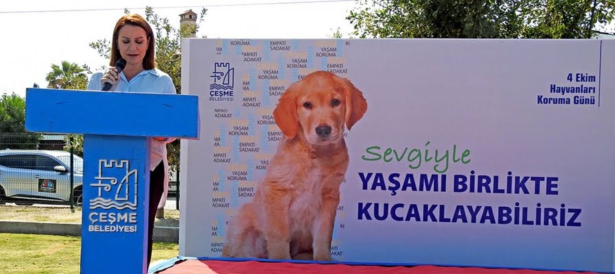 Alaçatı Pati Park'ta, can dostları sahiplenme çağrısı