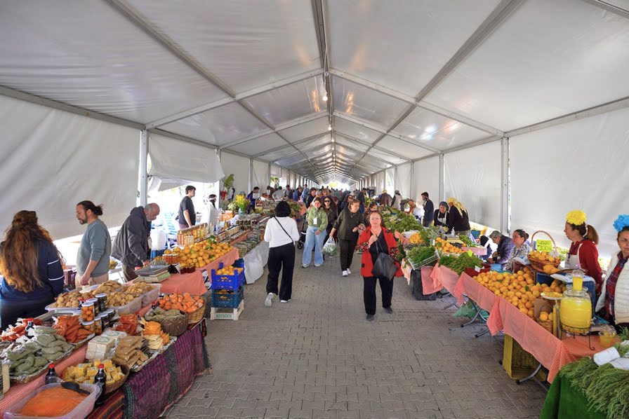 15. Uluslararası Alaçatı Ot Festivali’nde stantlar açıldı, yarışmalar ve etkinlikler hafta sonu boyunca sürüyor   