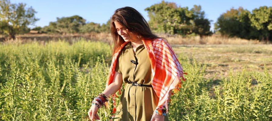 BAŞKAN DENİZLİ: “BU HASAT ALIN TERİ İLE YURTTAŞLARIMIZA DOĞRU BESİNLERİ ULAŞTIRMANIN EN BÜYÜK GÖSTERGESİ??
