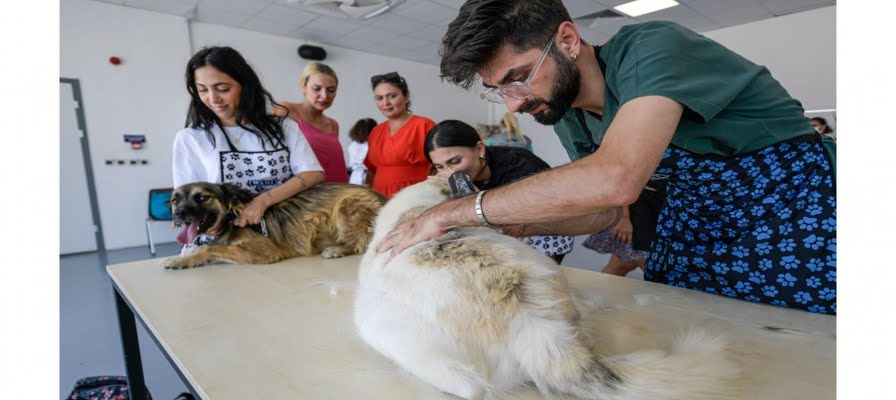Bunaltan sıcaklarda can dostlar unutulmadı