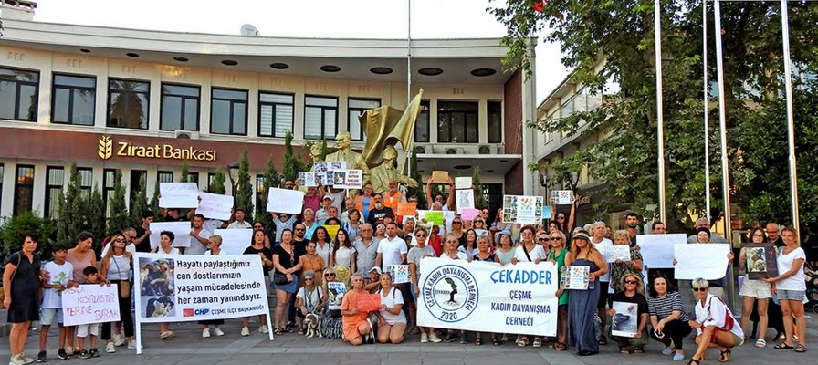 Çeşme'de hayvanseverler ses yükseltti: "Katliam Yasasına Hayır!"
