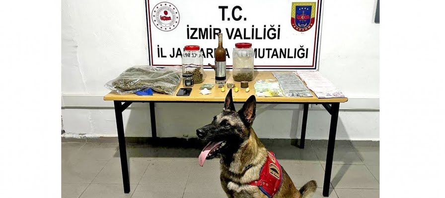 Çeşme’de jandarmadan zehir tacirine şafak operasyonu