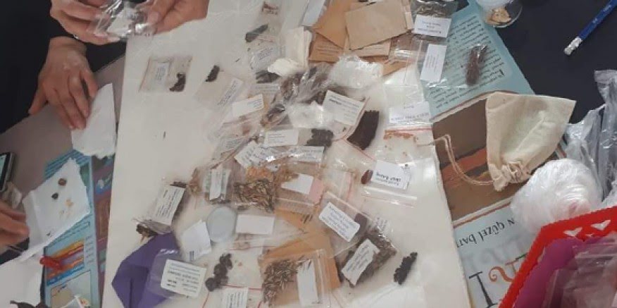 Çeşme'de "Yerel Tohum Takaş Şenliği" düzenlenecek