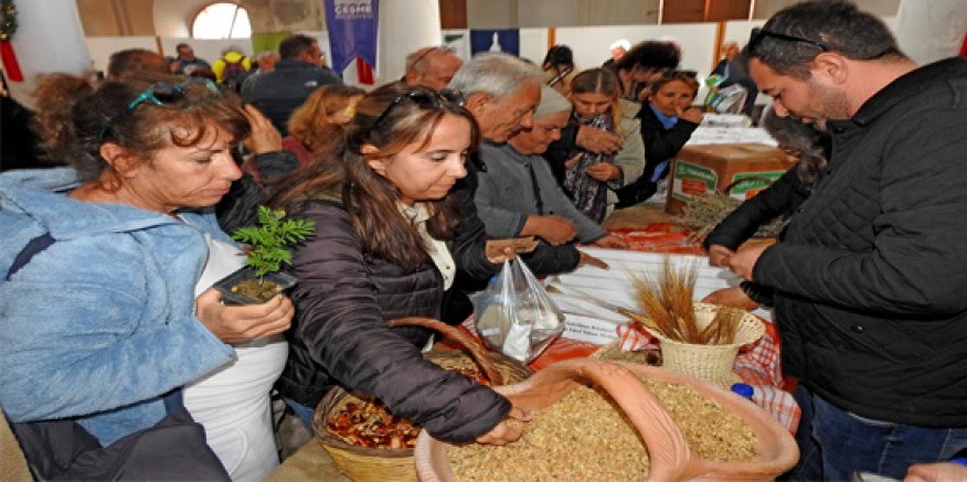 Çeşme'de Yerel Tohum Takas Şenliği