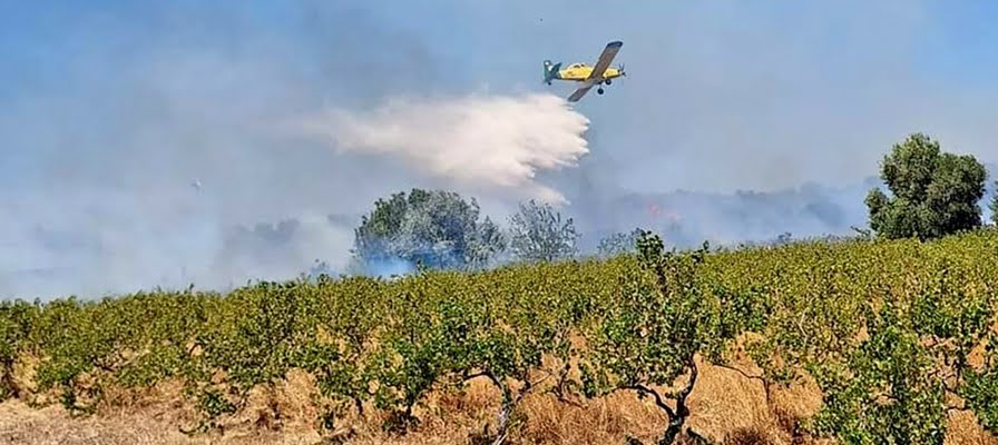 Çeşme'nin Germiyan Mahallesi’nde Korkutan Yangın!