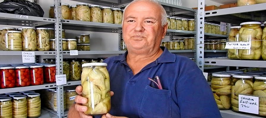 Çeşmeli üretici, enginarı 12 ay boyunca tüketiciye ulaştırıyor