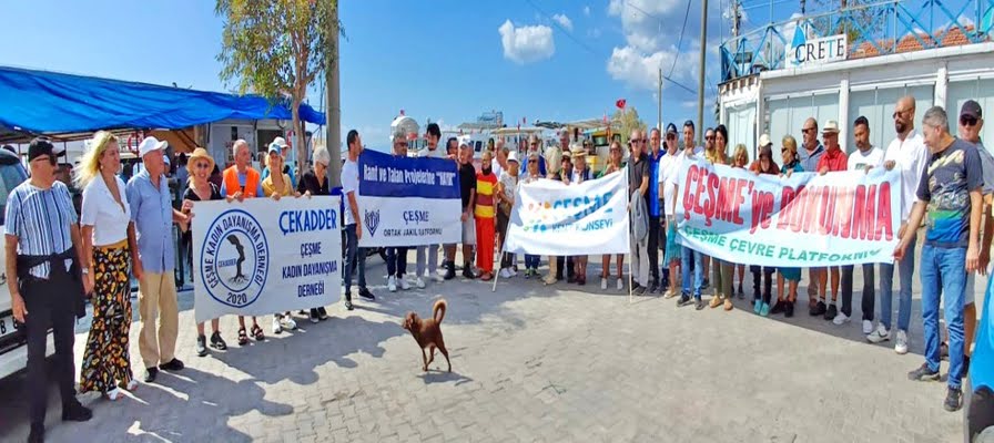 "Deniz Patlıcanı avı yasaklanmazsa, balıkçılık da, turizm de zarar görür"