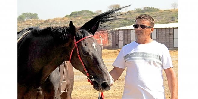 Haşim Tınas, Alaçatı'daki harasında şampiyon atlar yetiştiriyor