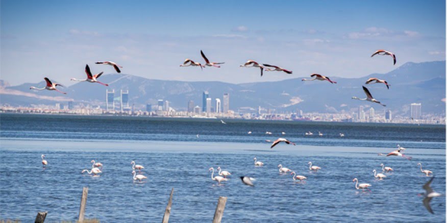 İzmir “2024’te Seyahat Edilmesi Gereken 10 Şehir?? listesine girdi