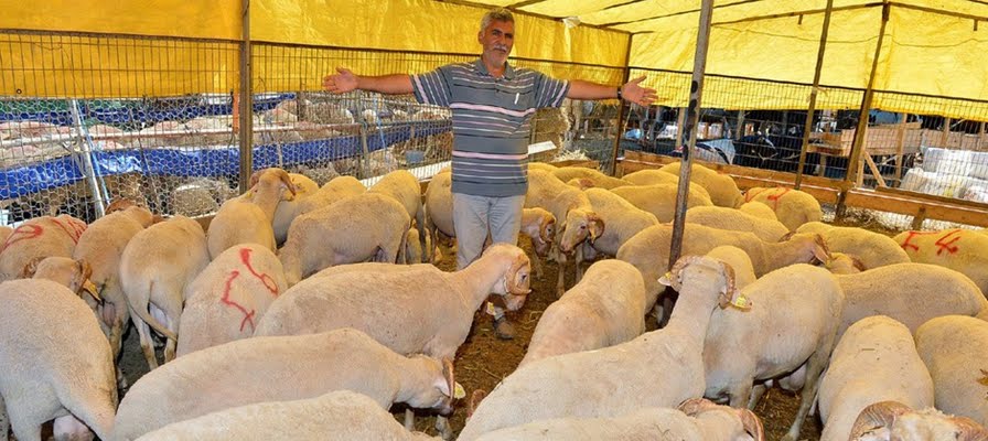 İzmir Büyükşehir Belediyesi güvencesiyle  Kurban Bayramı için bağış kampanyası başladı