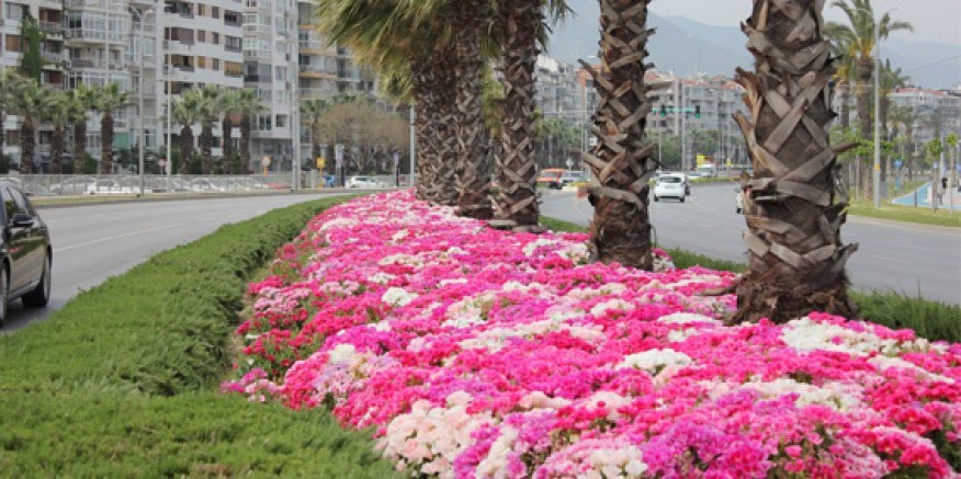 İzmir çiçek açtı