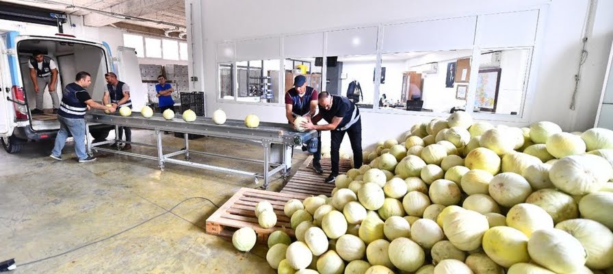 İzmir’de 300 ton ürün heba olmayacak