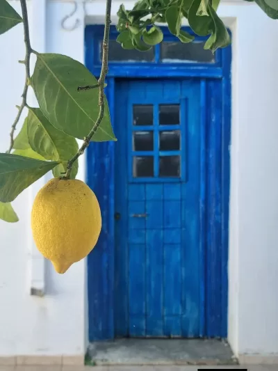 BİSİKLETLİ KARGA İLE BİLE KONUŞUR