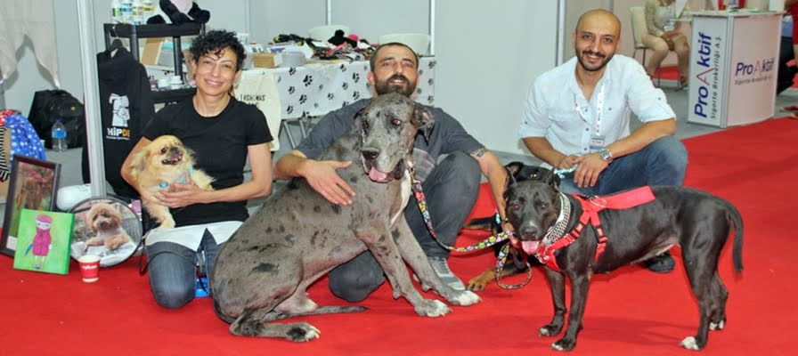 Patili dostlar için doğal çözümler PET İZMİR’de