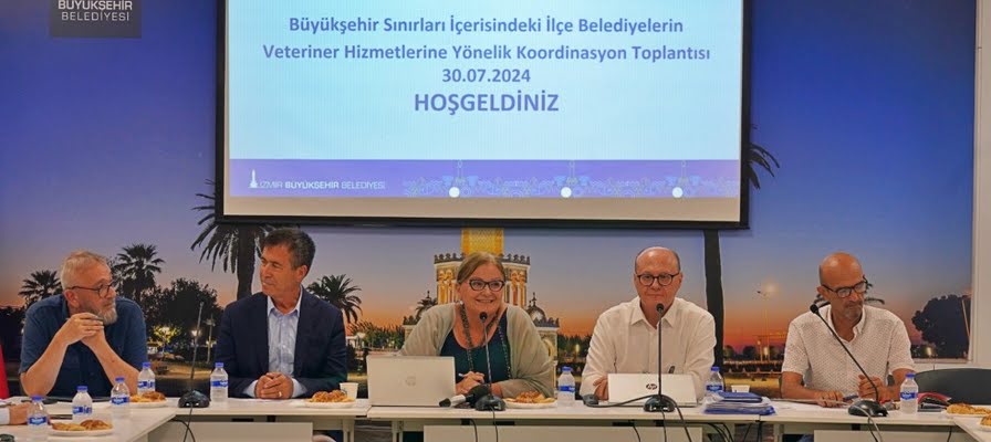 Sokakta yaşayan canlar için eylem planı hazırlanıyor