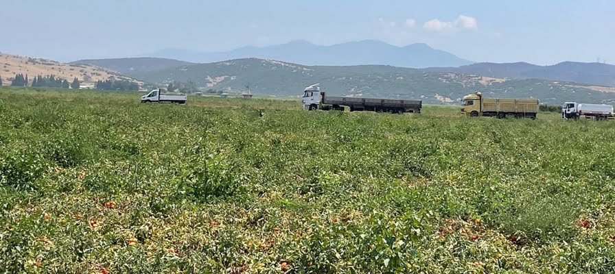 Tarımsal üretimde reform şart