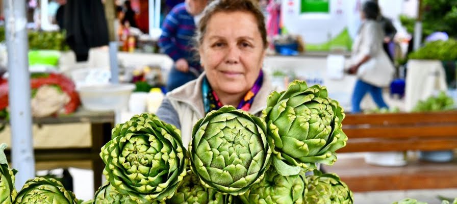 Urla Enginar Festivali için geri sayım başladı